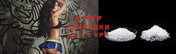 амф Алексин