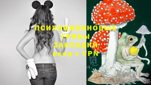 ешки Алексеевка