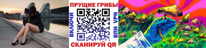 Галлюциногенные грибы ЛСД  купить закладку  Юрьев-Польский 